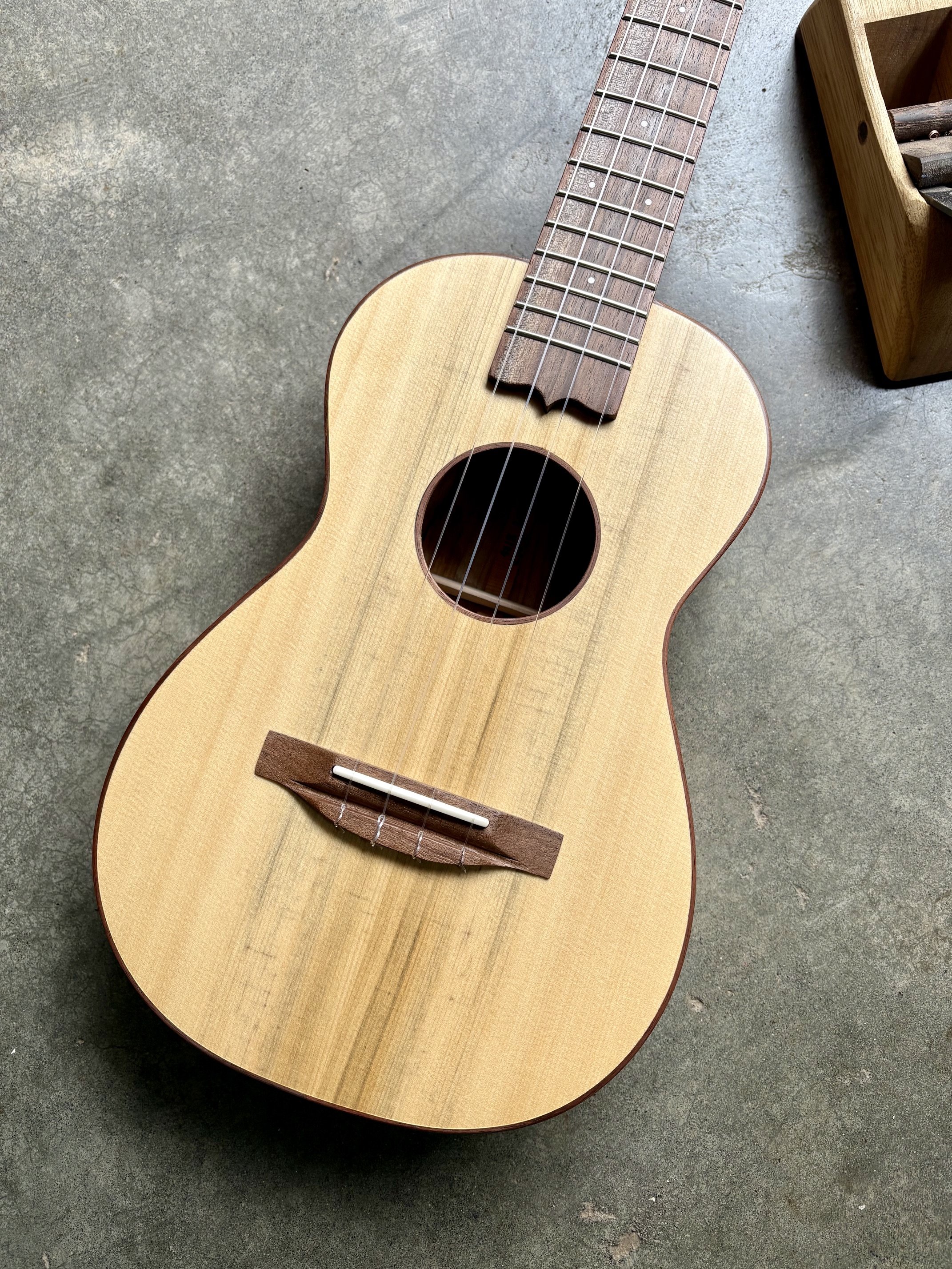 IMG_6405.jpeg