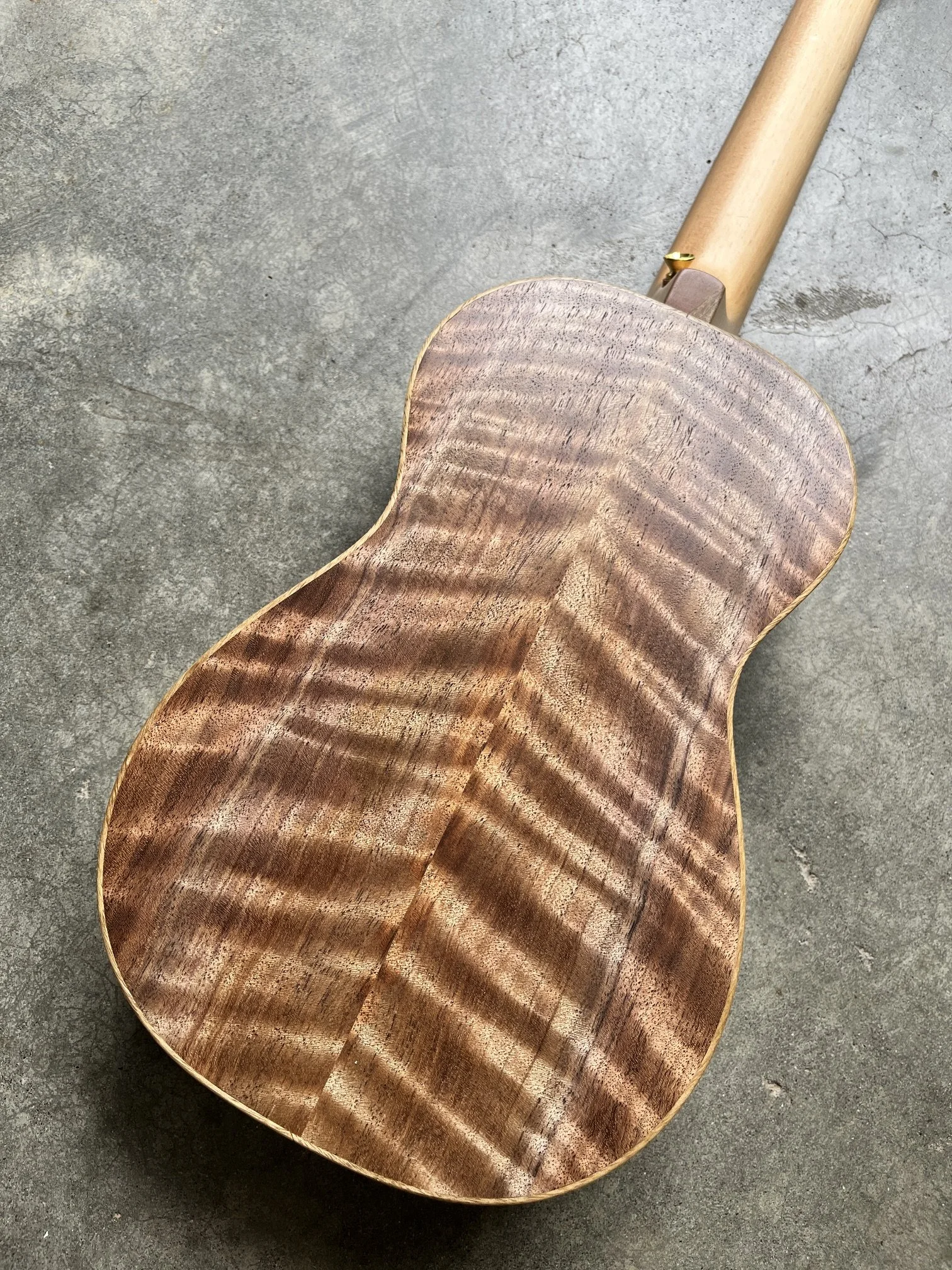 IMG_9590.JPG
