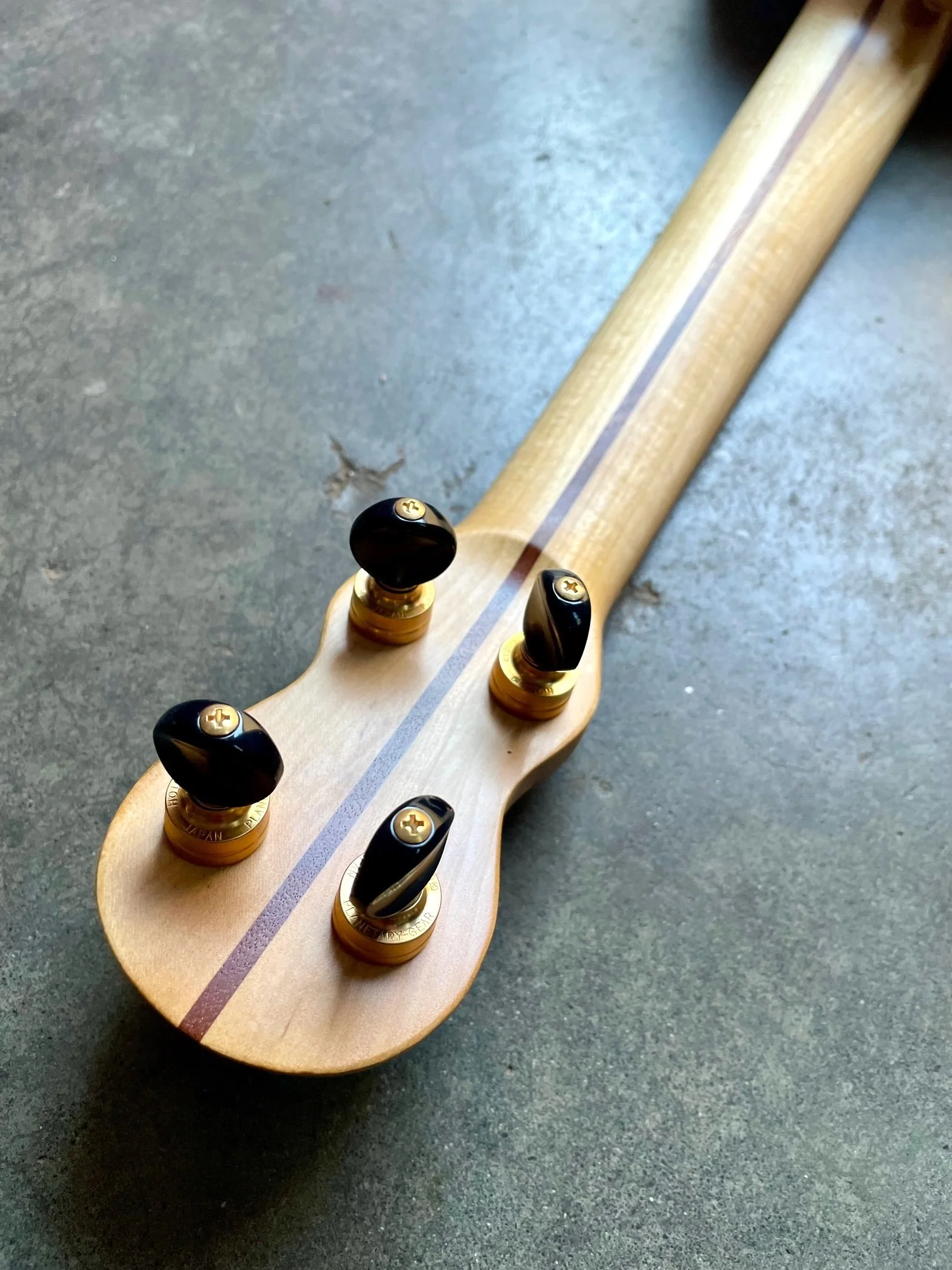 1000 back headstock.jpeg