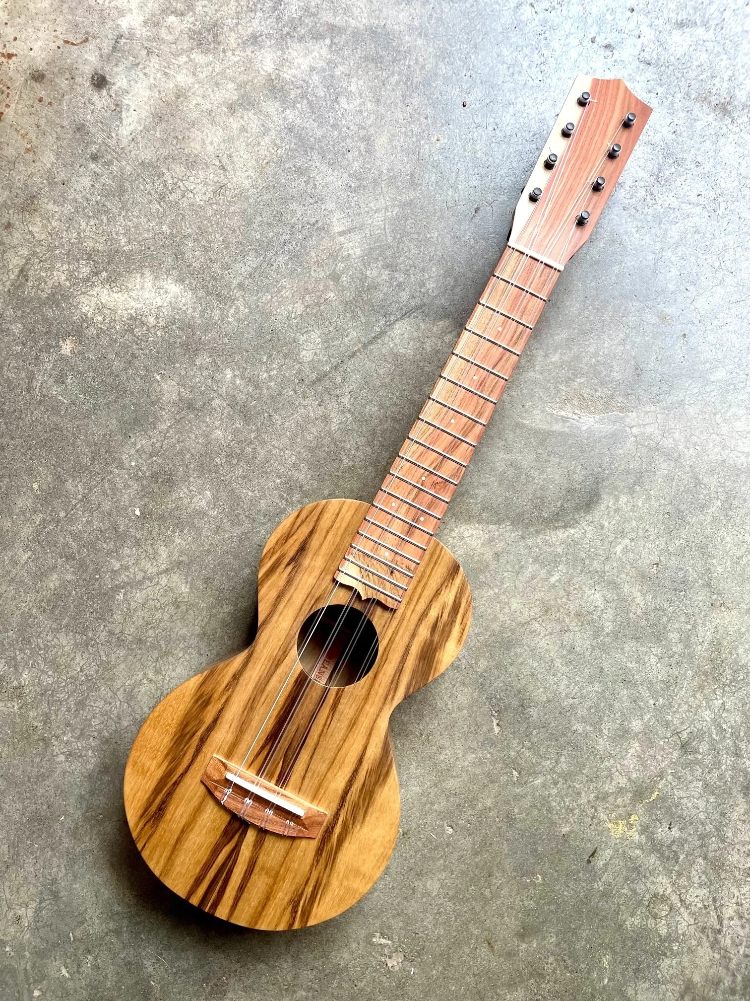 taro full front.jpeg