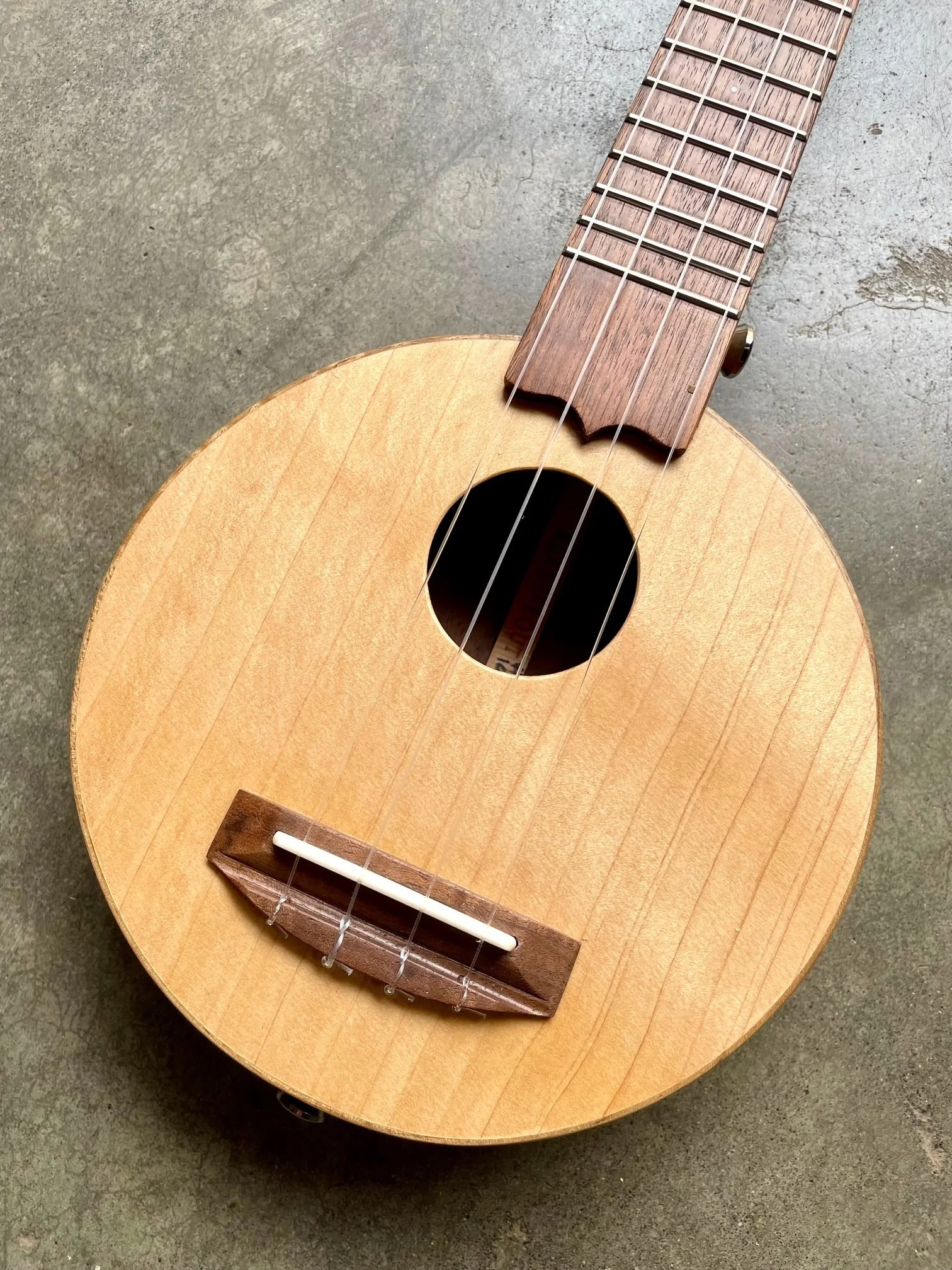 scout close up .jpeg