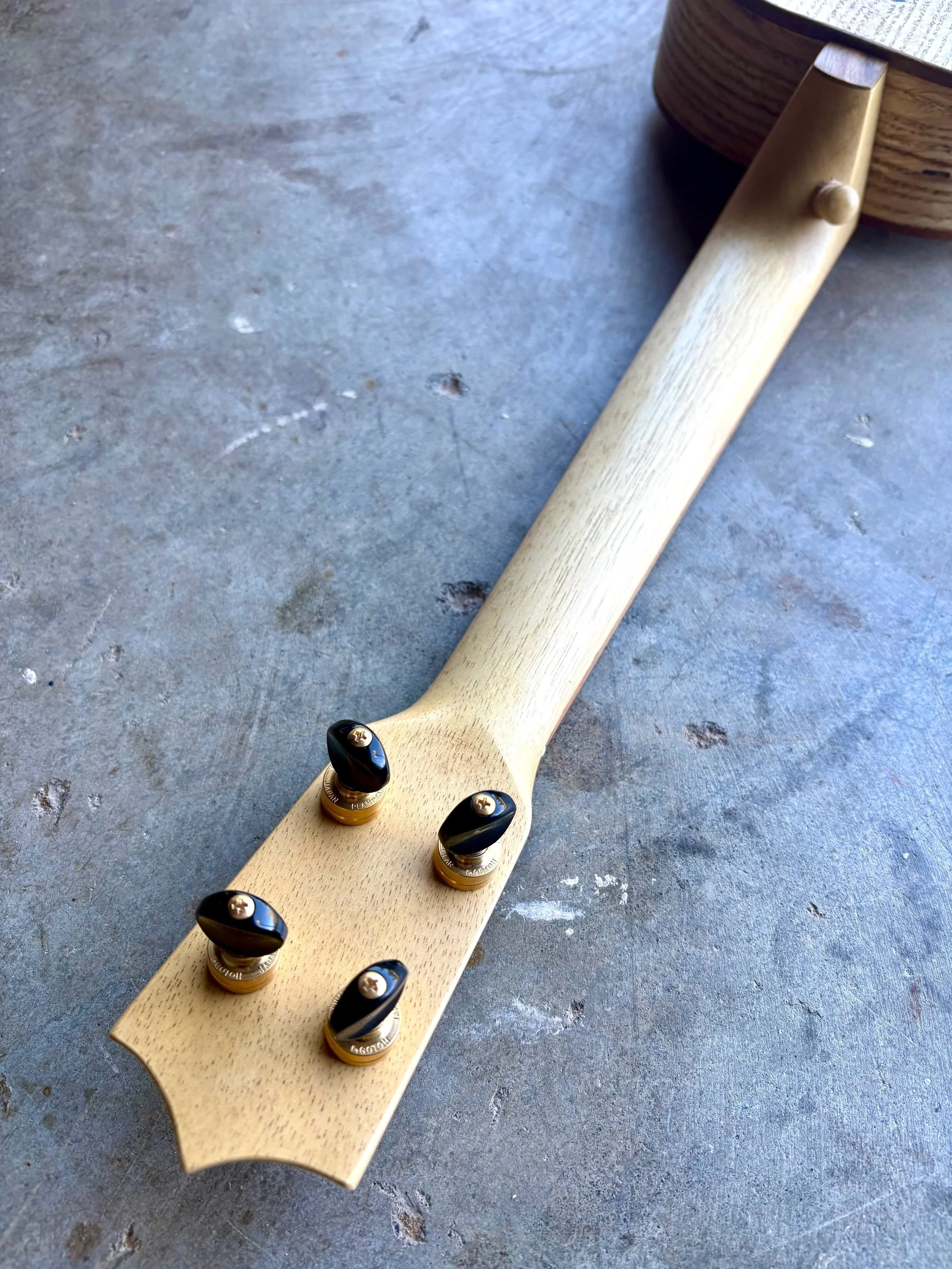 oak back headstock.jpeg