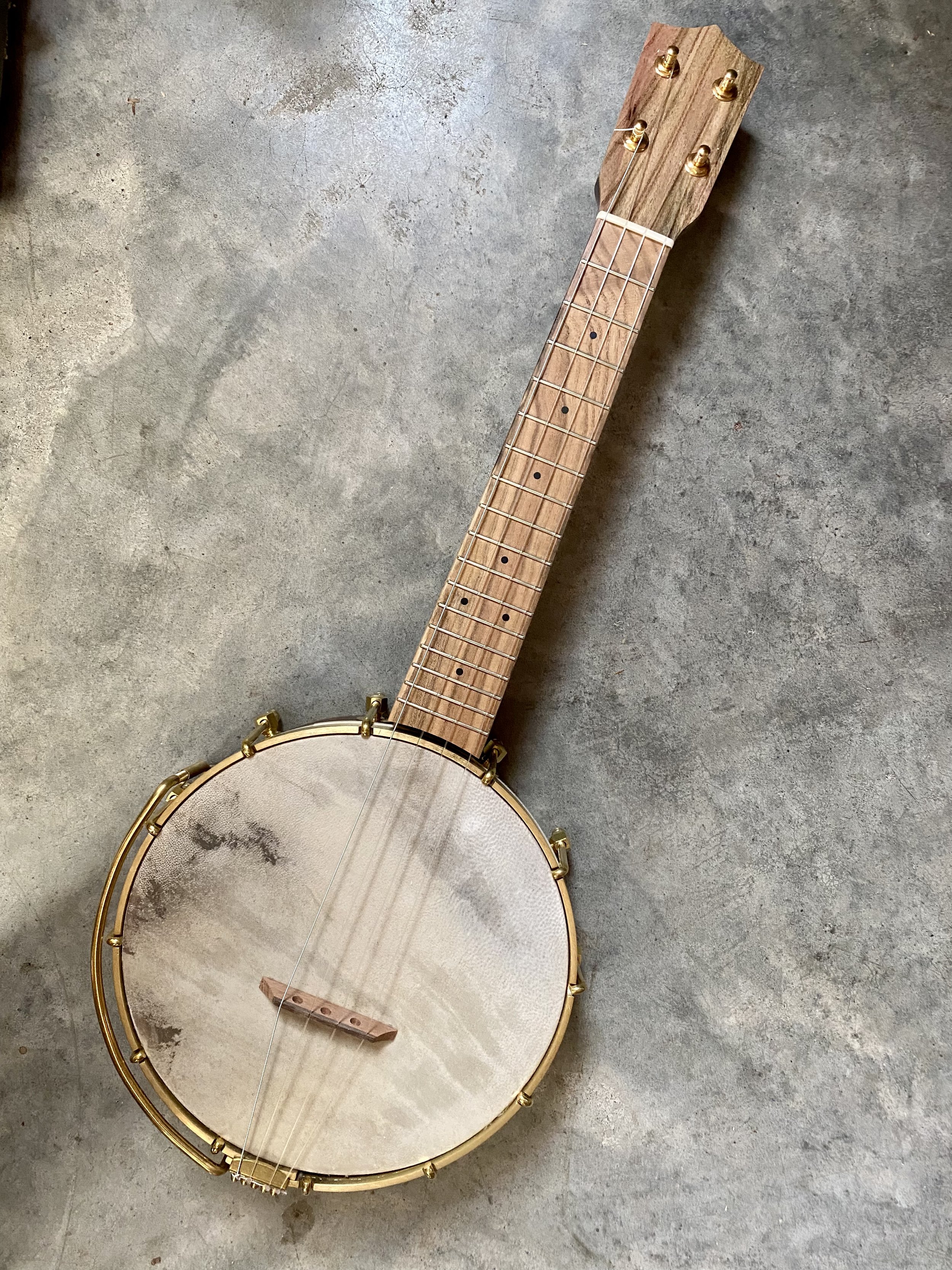 flyde Multiplikation Bonde The Beansprout Banjo Ukulele — Beansprout Musical Instruments
