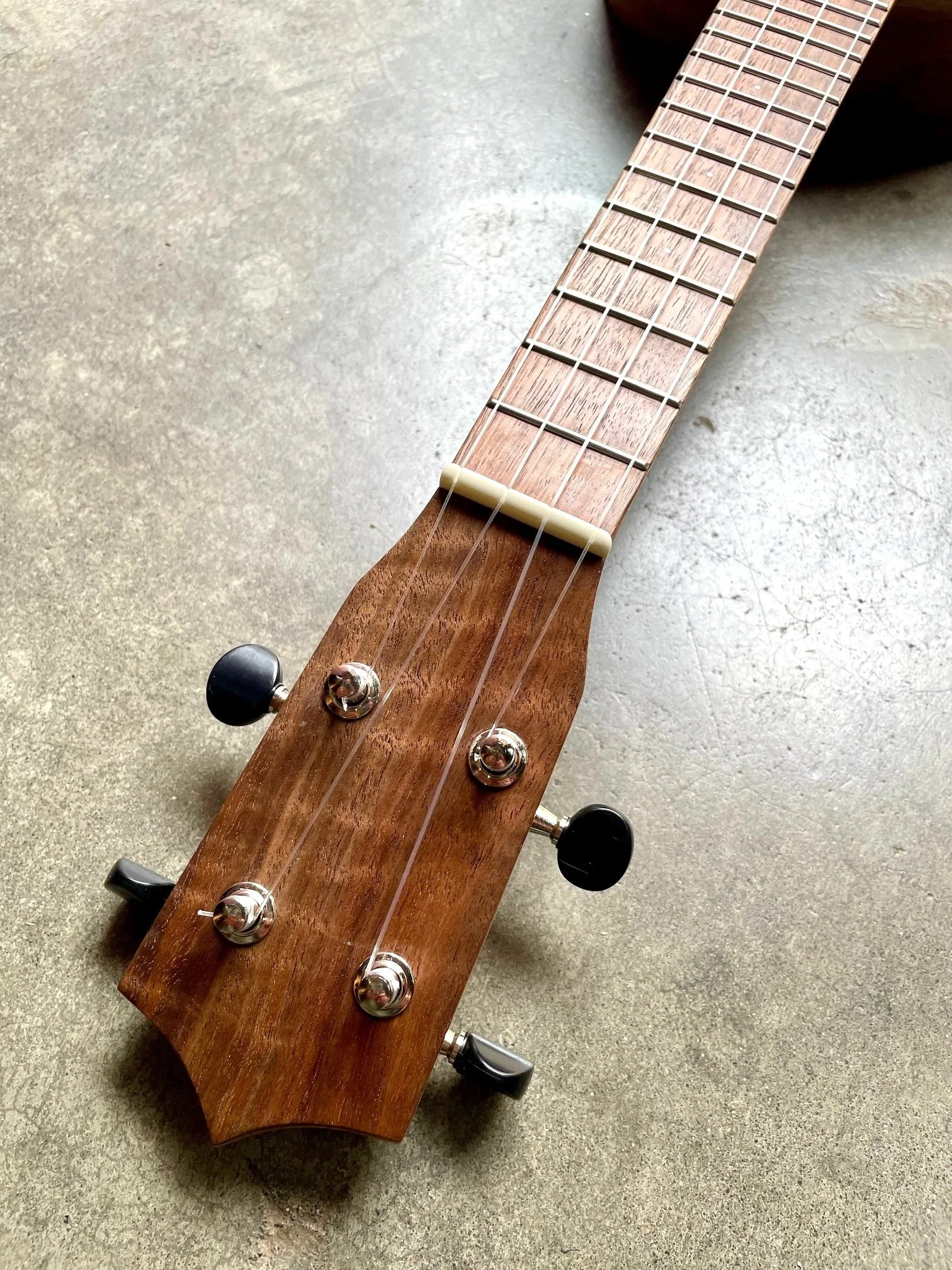 scout headstock.jpeg