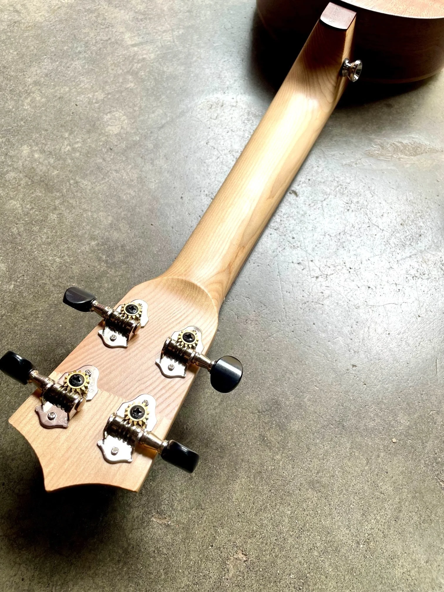 scout back of headstock.jpeg