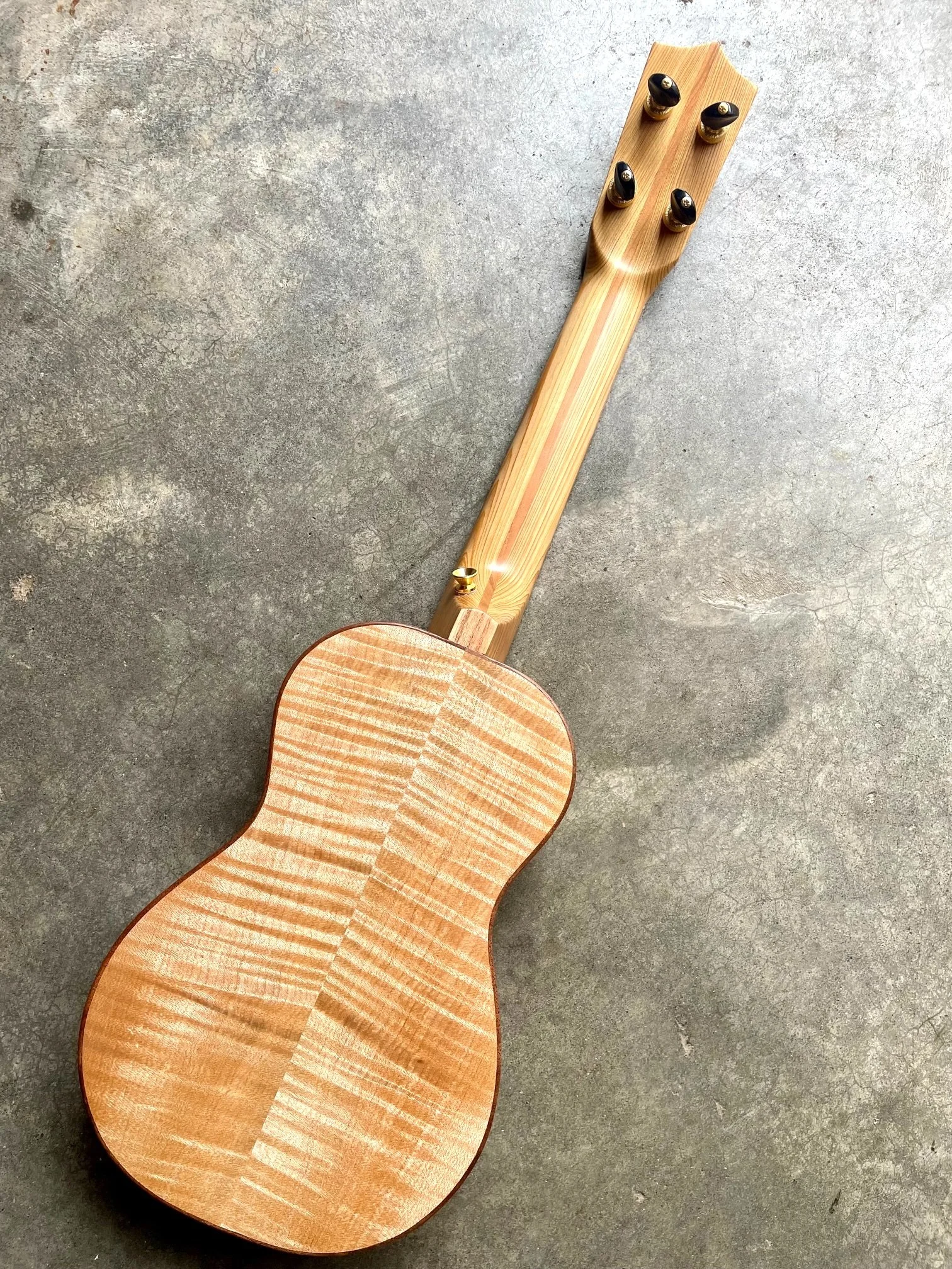 cedar full back.jpeg