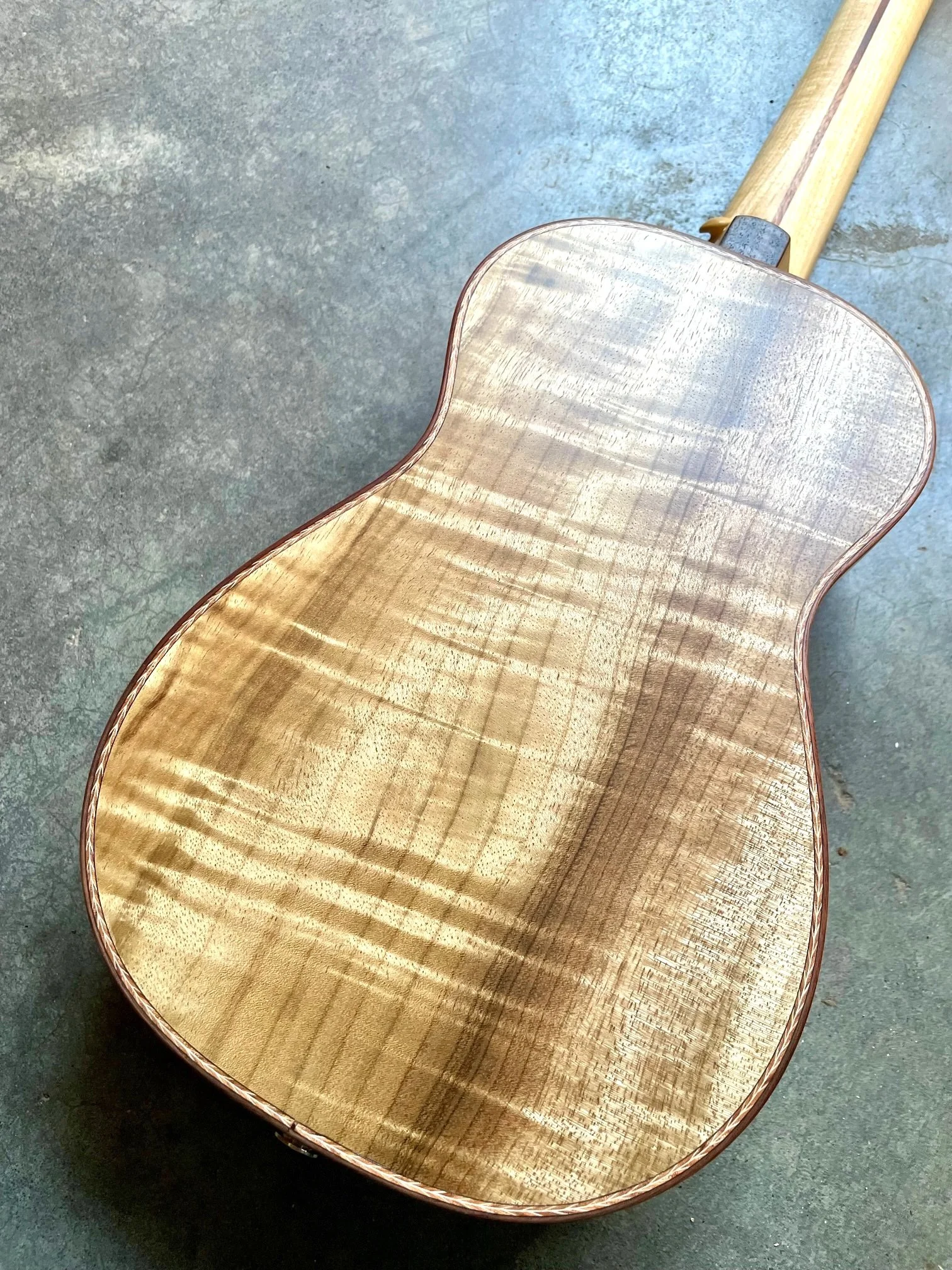 1000 close up back.jpeg