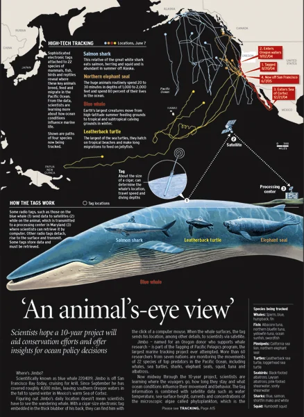  The Oregonian, acrylic and digital, 2006 