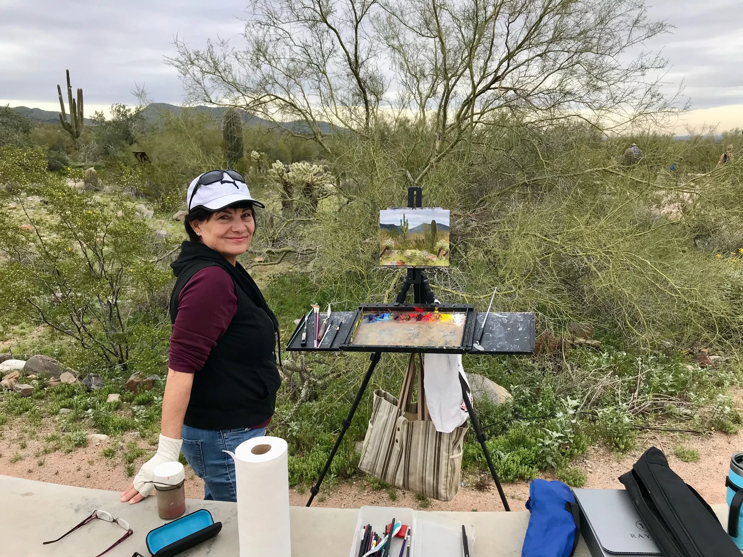 McDowell Sonoran Preserve Paint Out