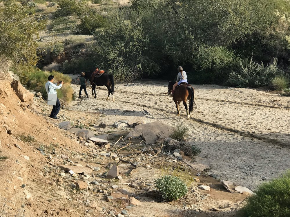 James Jiang Taking Pics of the Horses