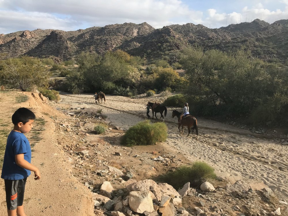 Horses in the Gulch