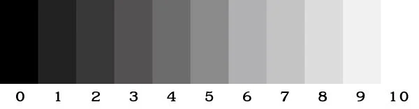 What is a Notan and How Do We Use It? — Arizona Plein Air Painters
