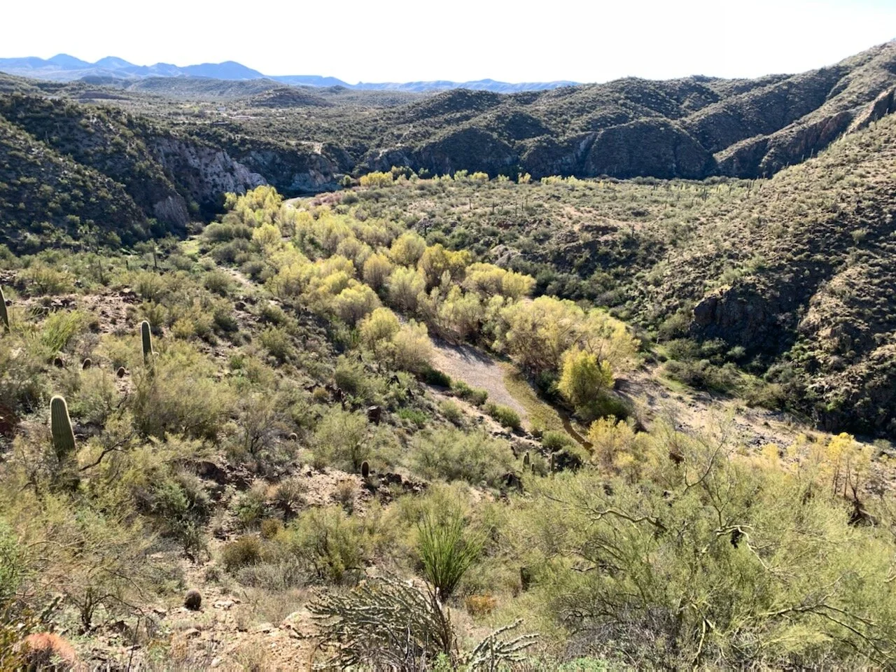 Black Canyon City Trailhead Paint Out