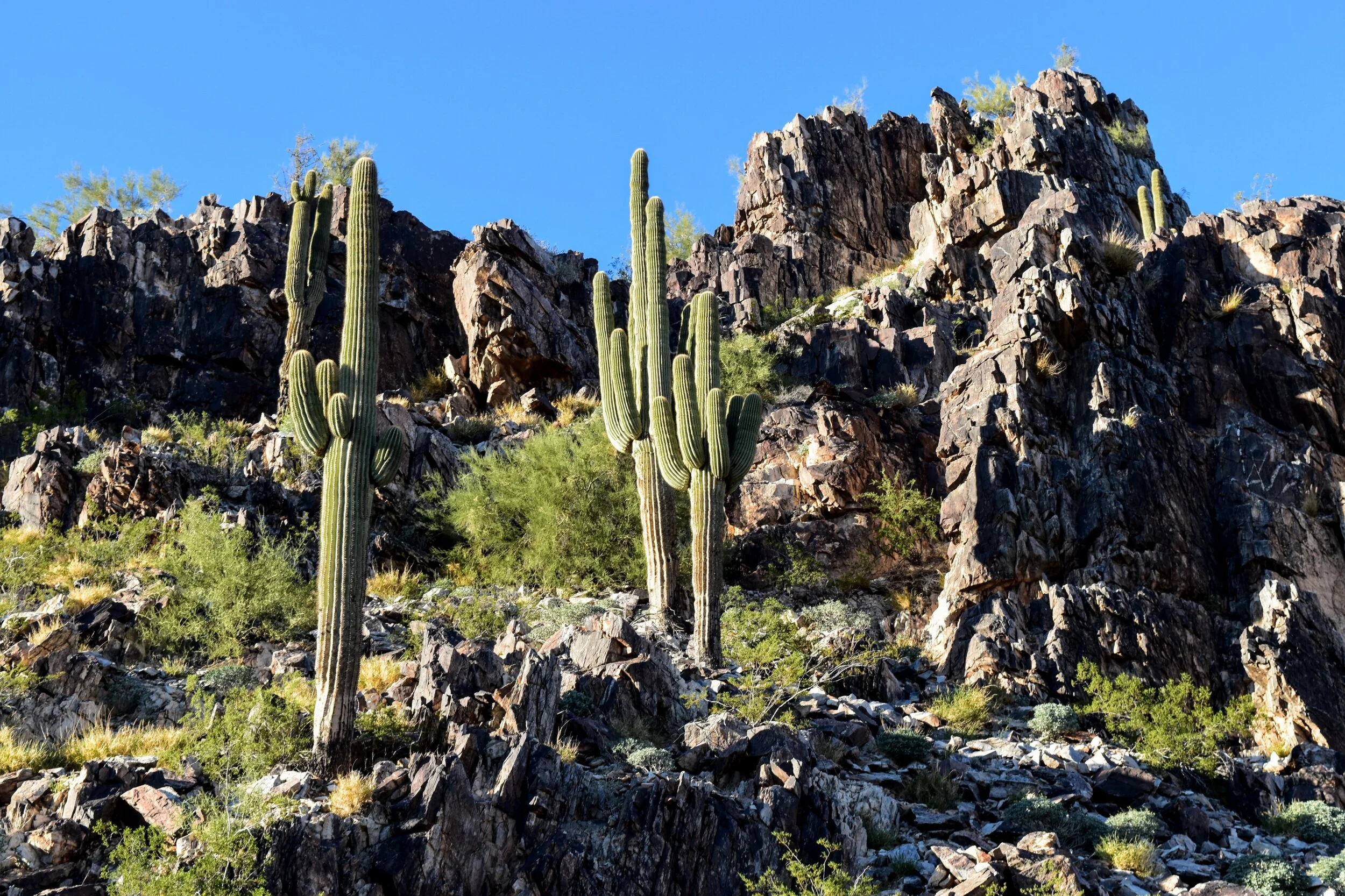 Golden Hour Paint Out at Piestewa Peak