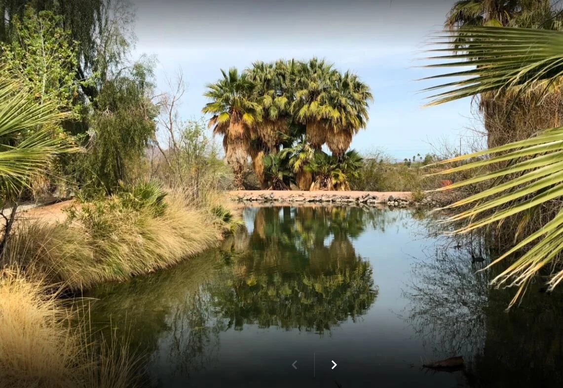Paint Out at Evelyn Hallman Park [Papago Mt]