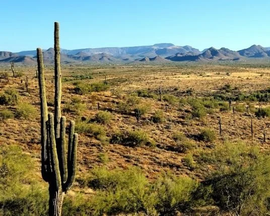 Apache Wash Trailhead