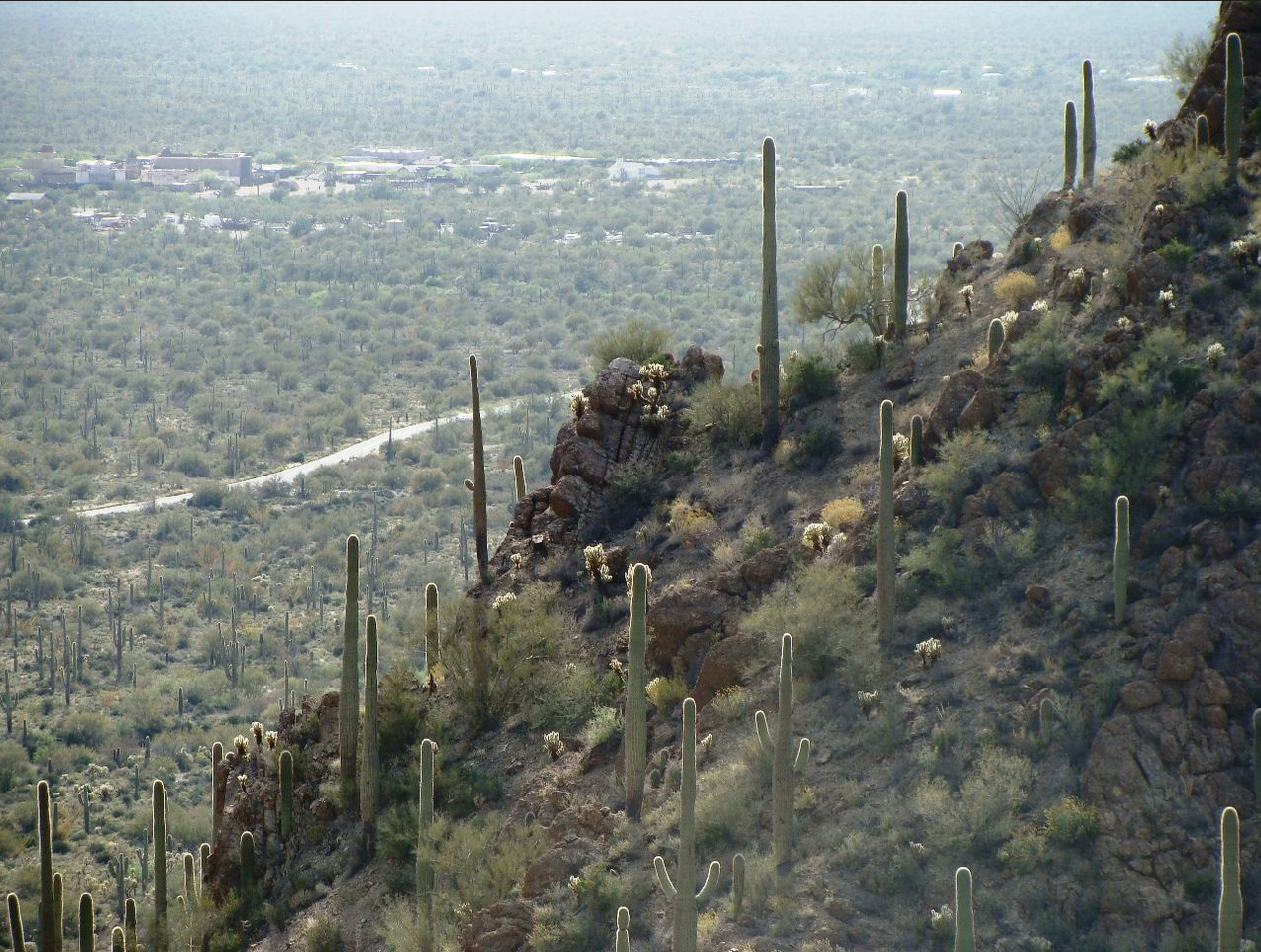 Tucson - Gates Pass Trailhead