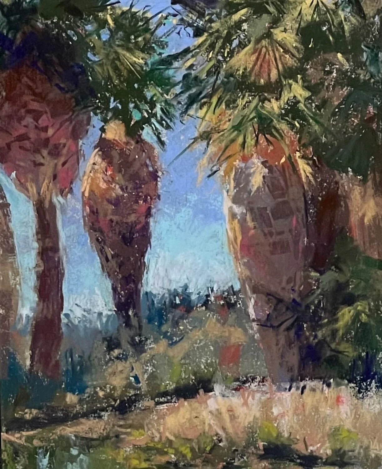 Virginia Belser: Agua Caliente