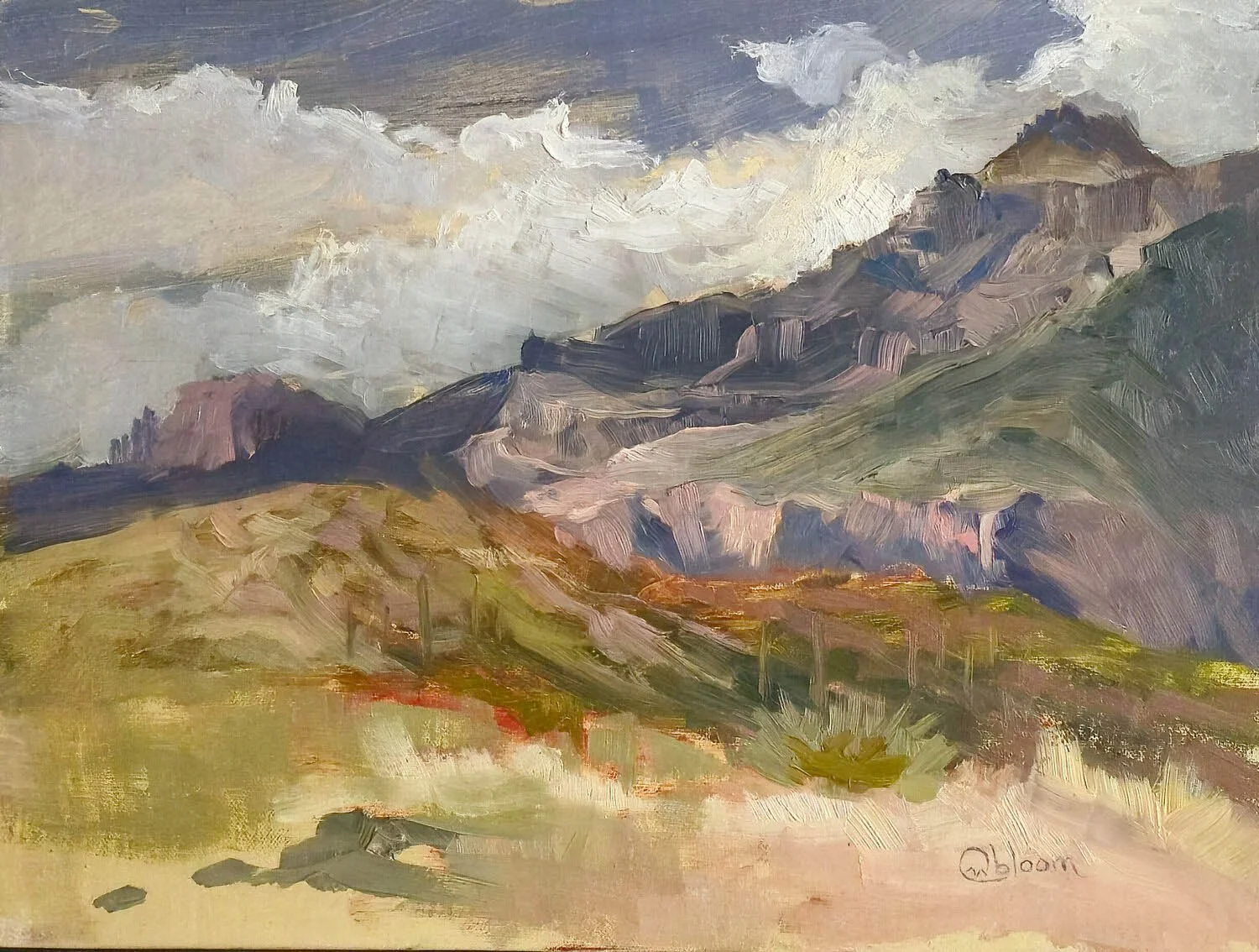 Carolyn Bloom: Rains Are Coming