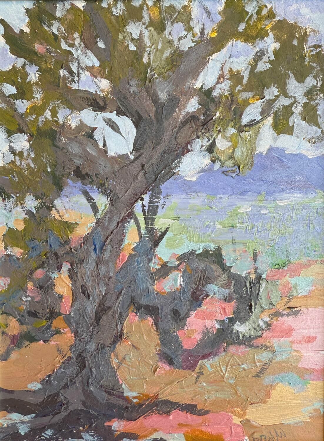 C Carrillo: Ancient Juniper