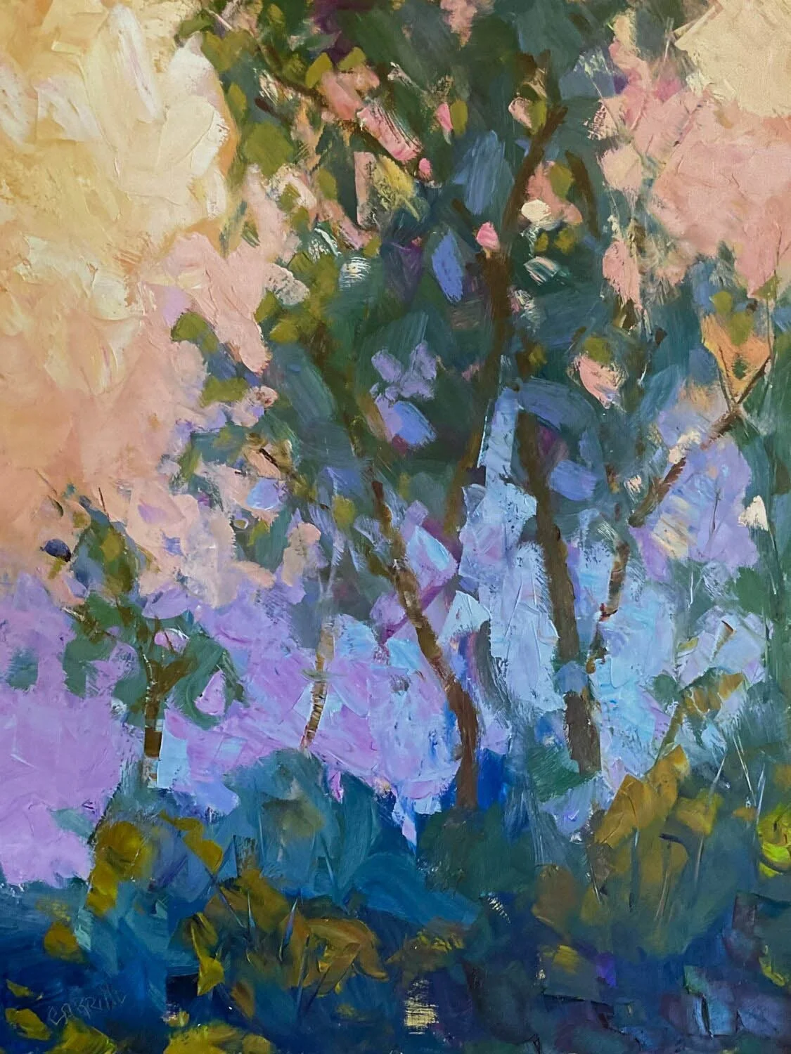 C Carrillo: Broken Light