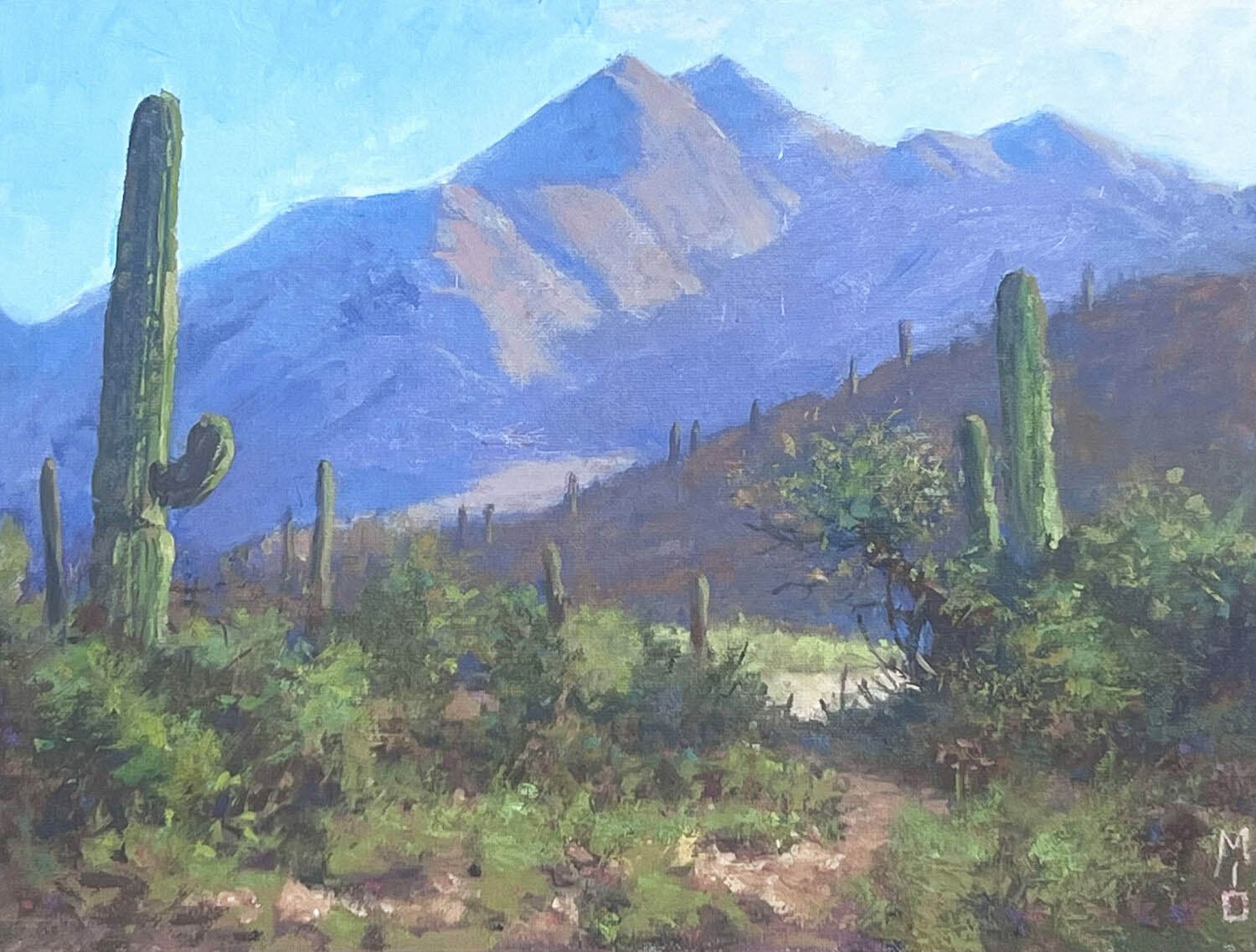 Mio Cirkovic: Pinnacle Peak Morning