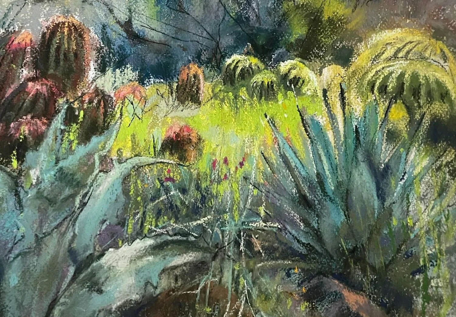 Michele Corsini: Boyce Thompson Arboretum