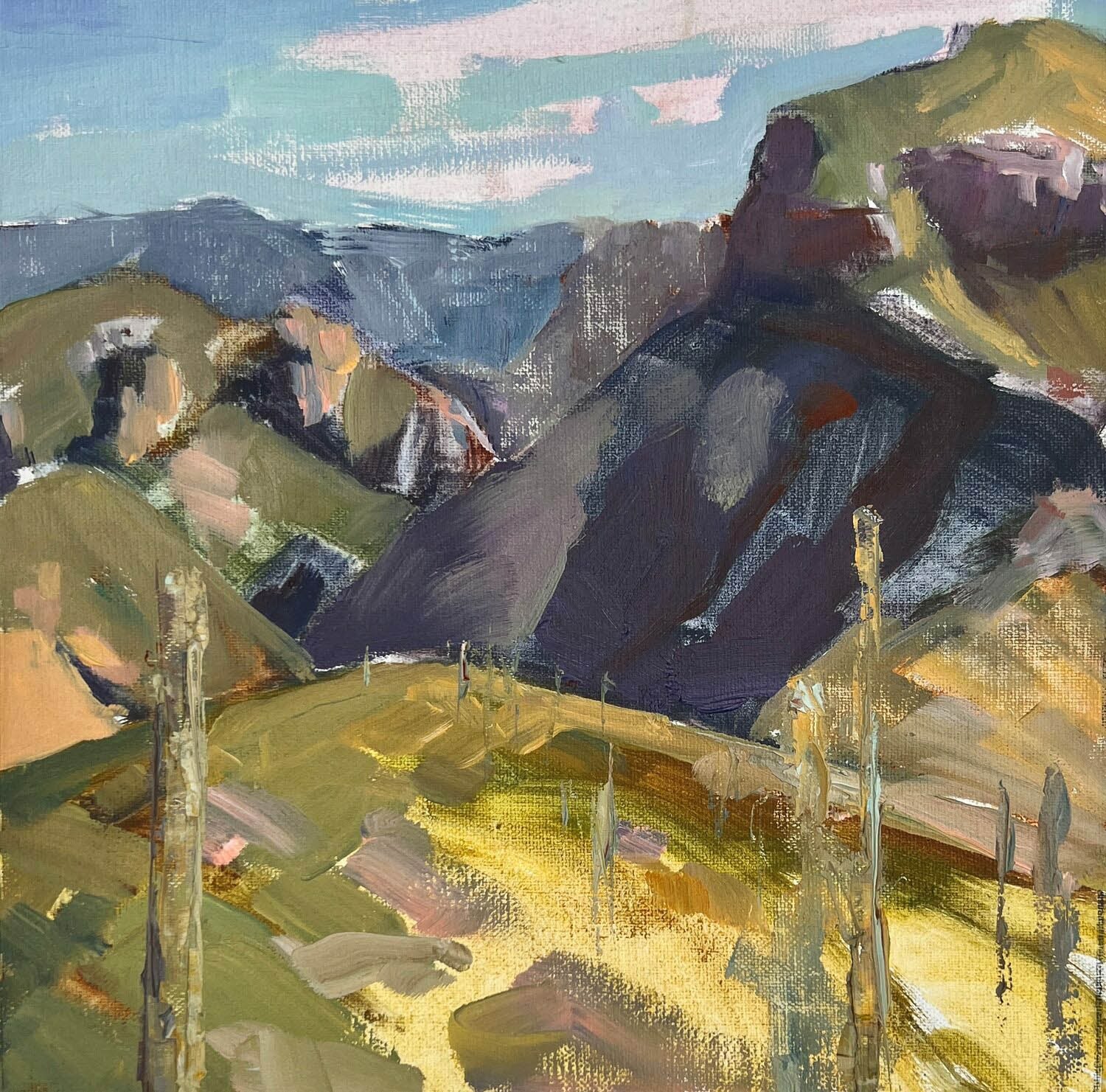 Robin Deshayes: Sabino Canyon Shadows
