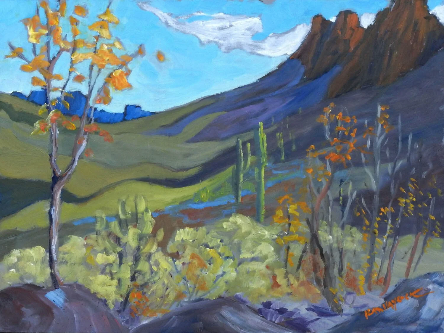 Kathy Haycock: Long Shadows, Apache Trail