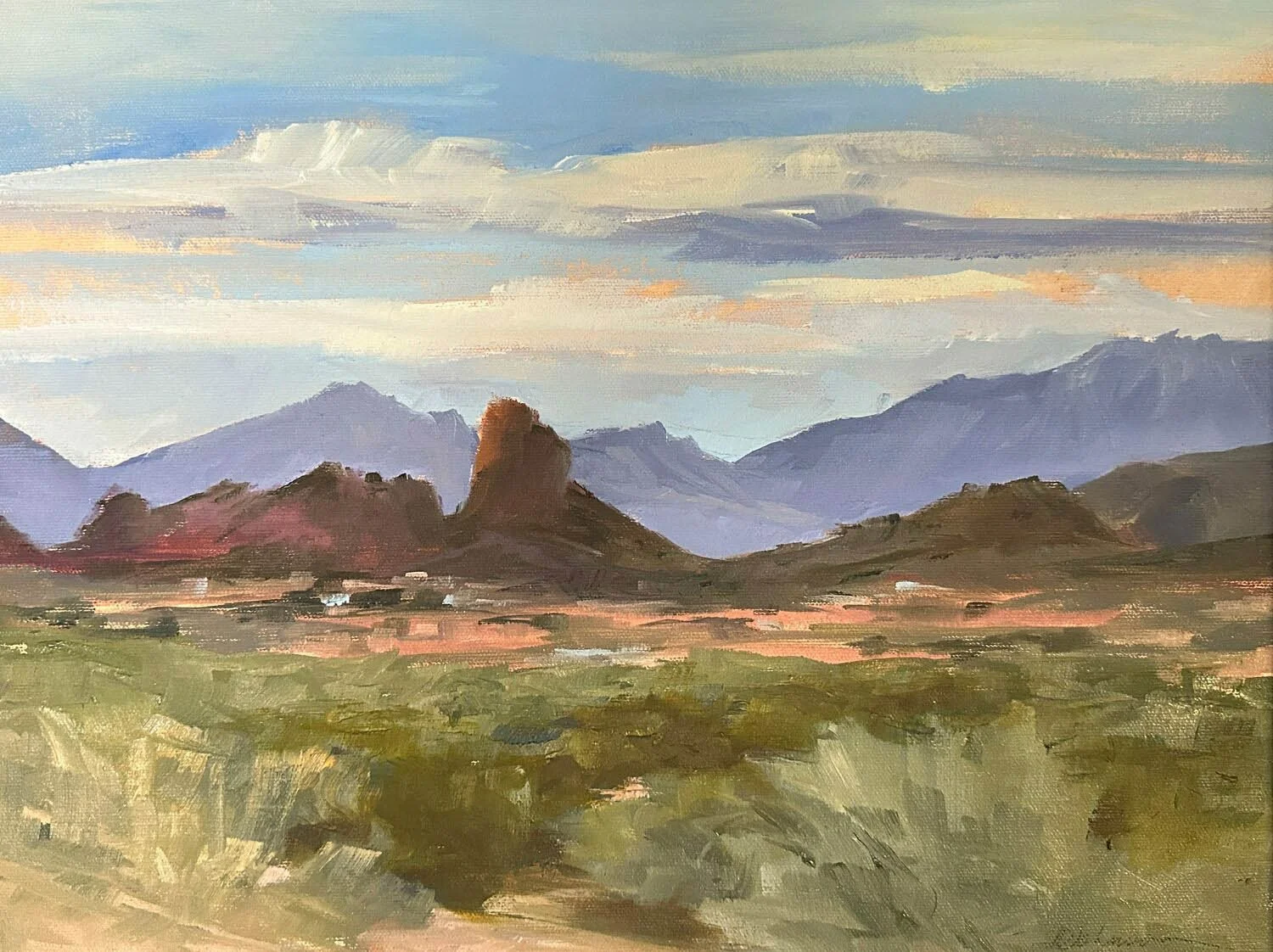 Judith D Johnson: Sarasota Trail Vista