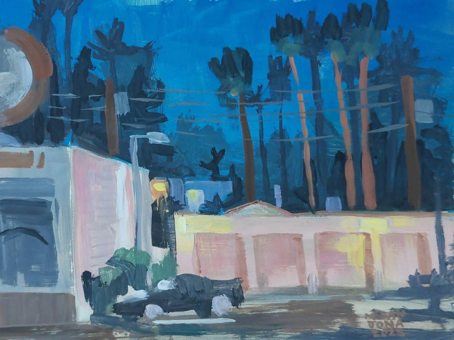 Megan Jonas: Facing West Camelback & Central