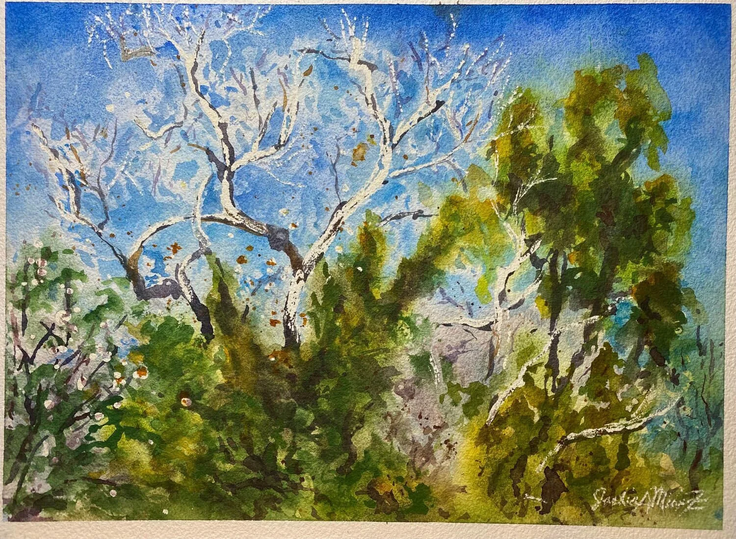 Jacqueline Monkiewicz: White Tree