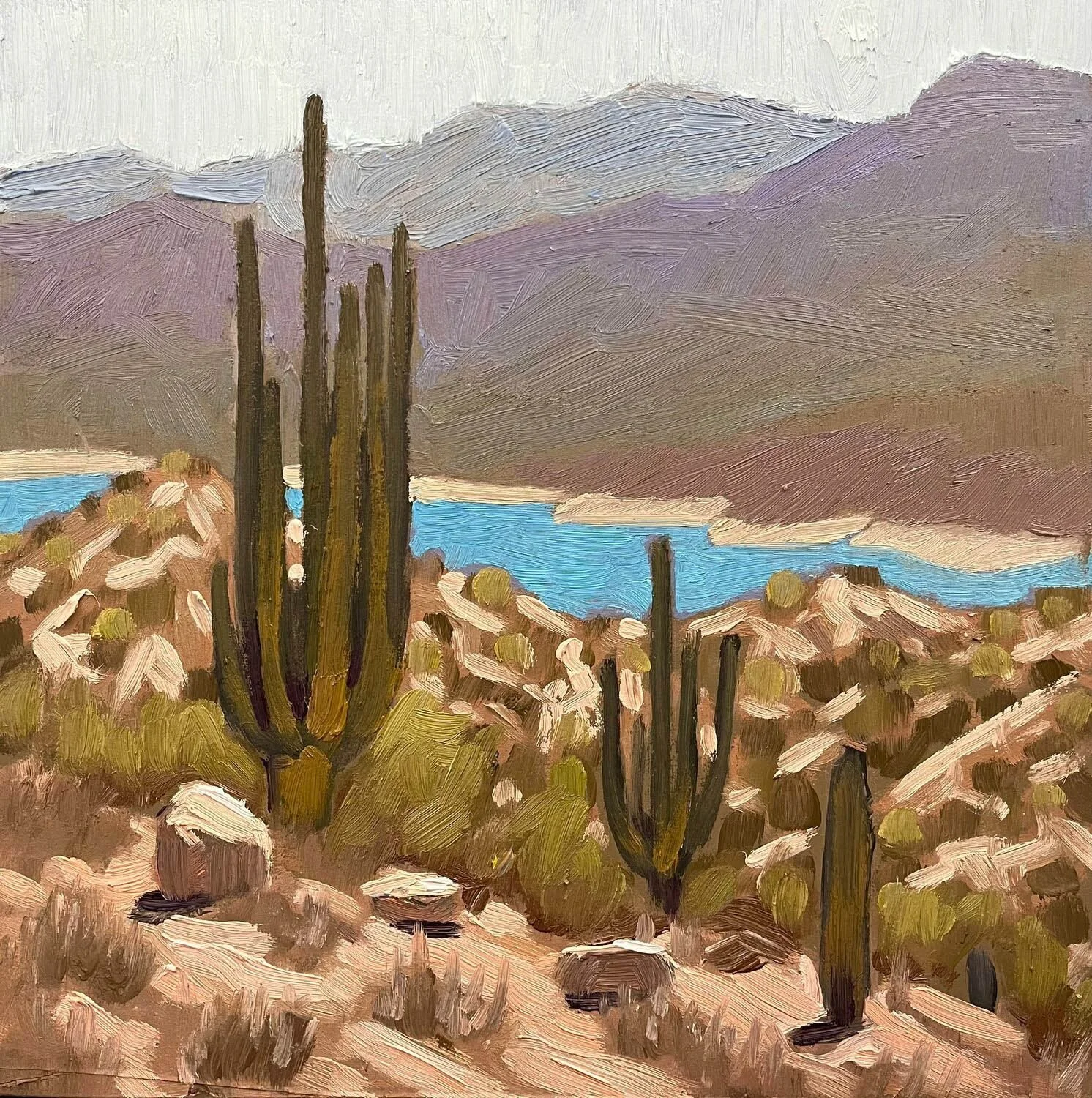 Johan Sorvala: Bartlett Lake