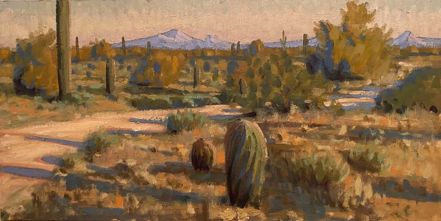Johan Sorvala: North Phoenix Desert
