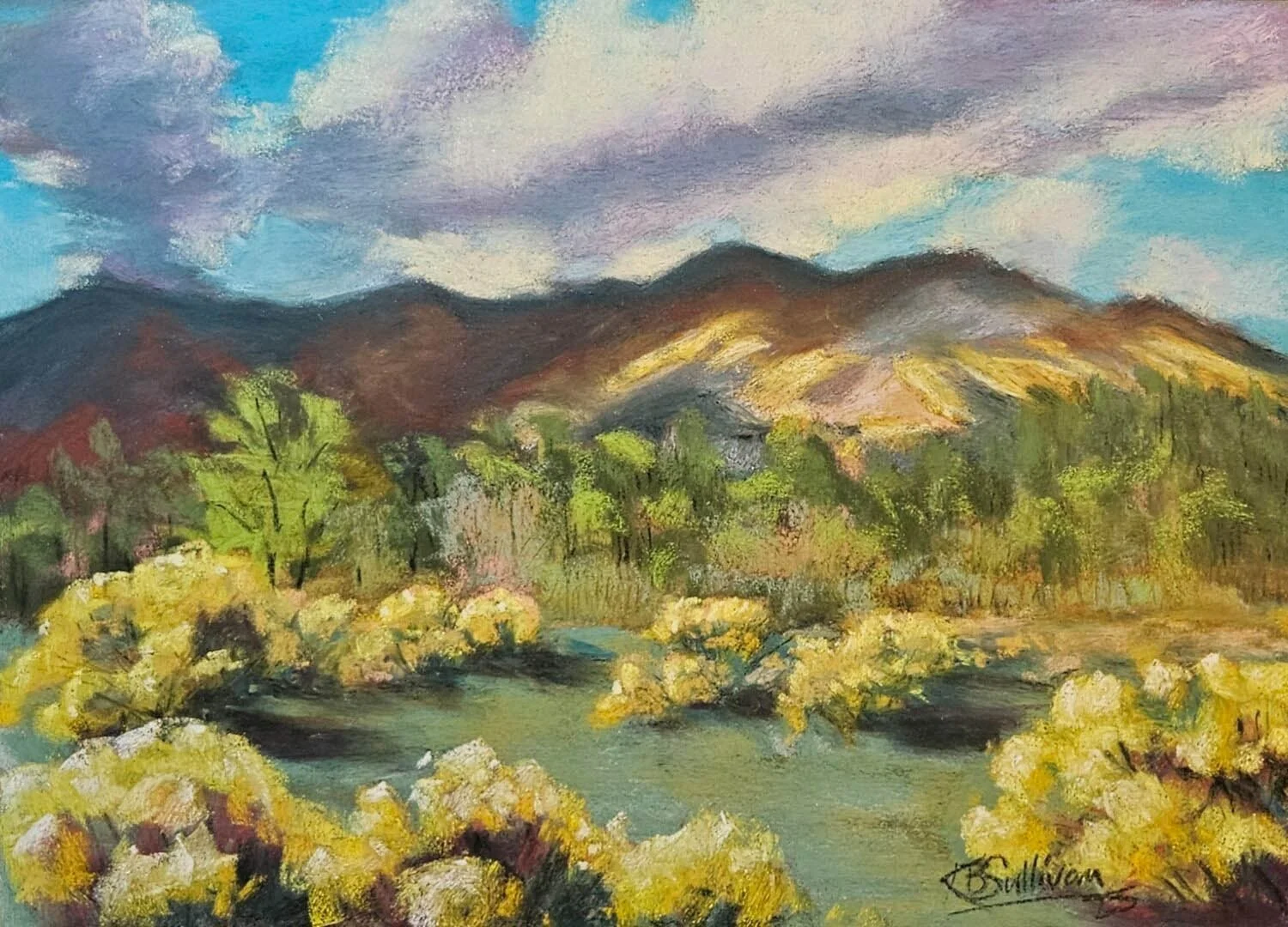 Karen Sullivan: Chamisa Light