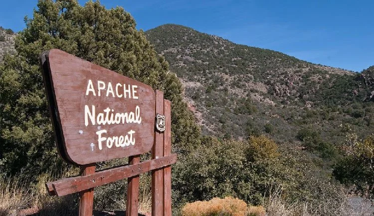 Aspen Campout On the Mongolian Rim