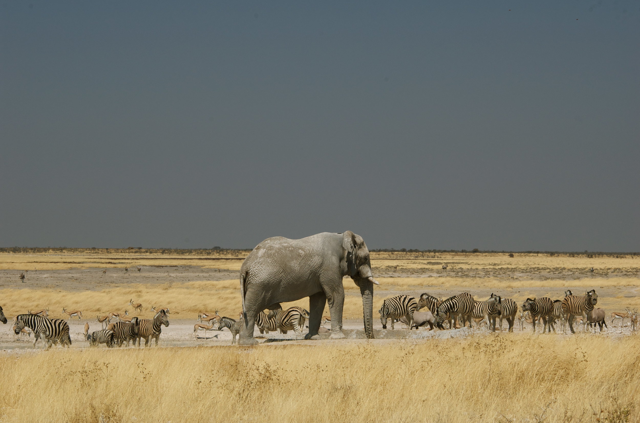 DSC_0055.jpg