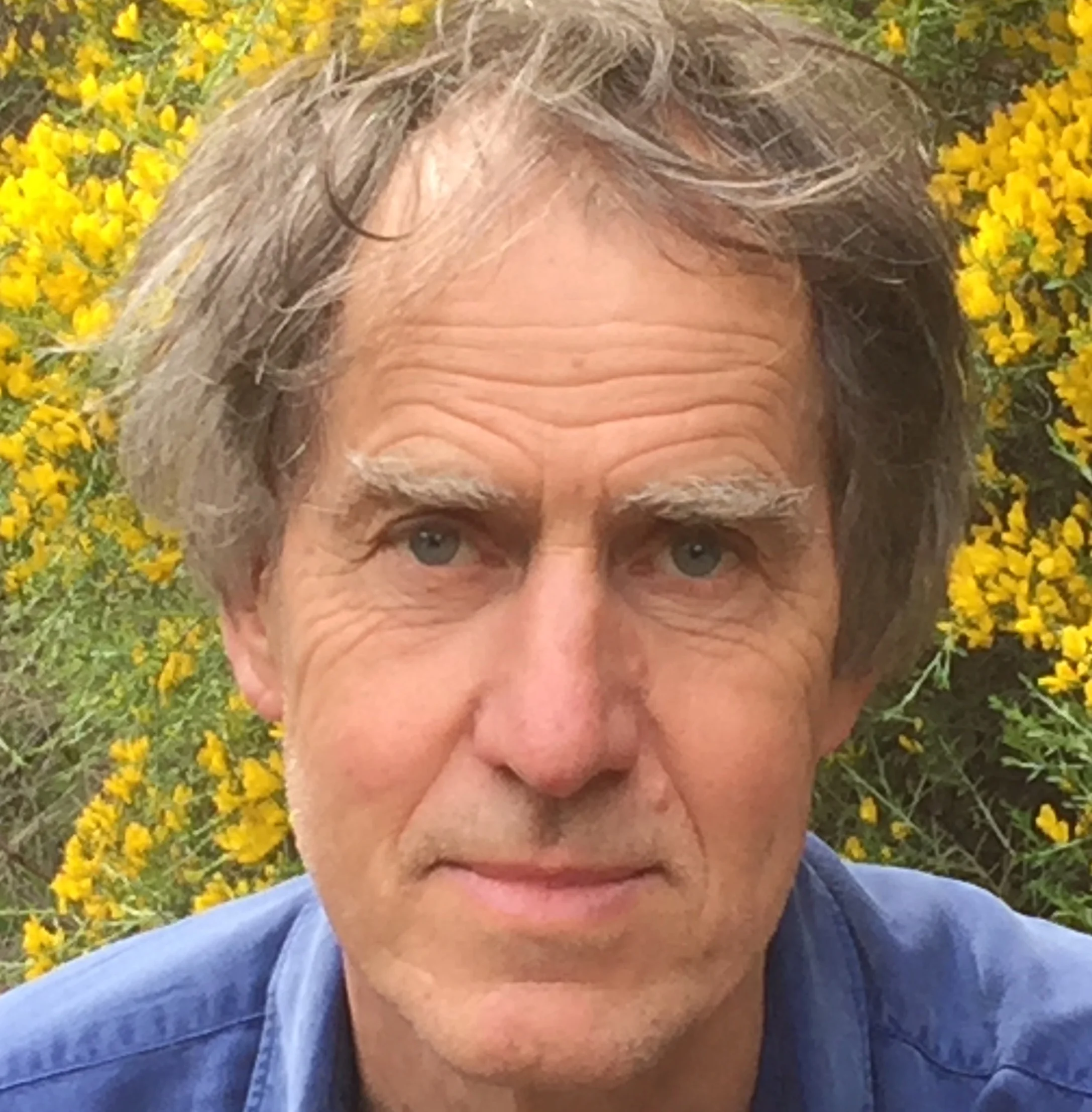 jan taal.jpg