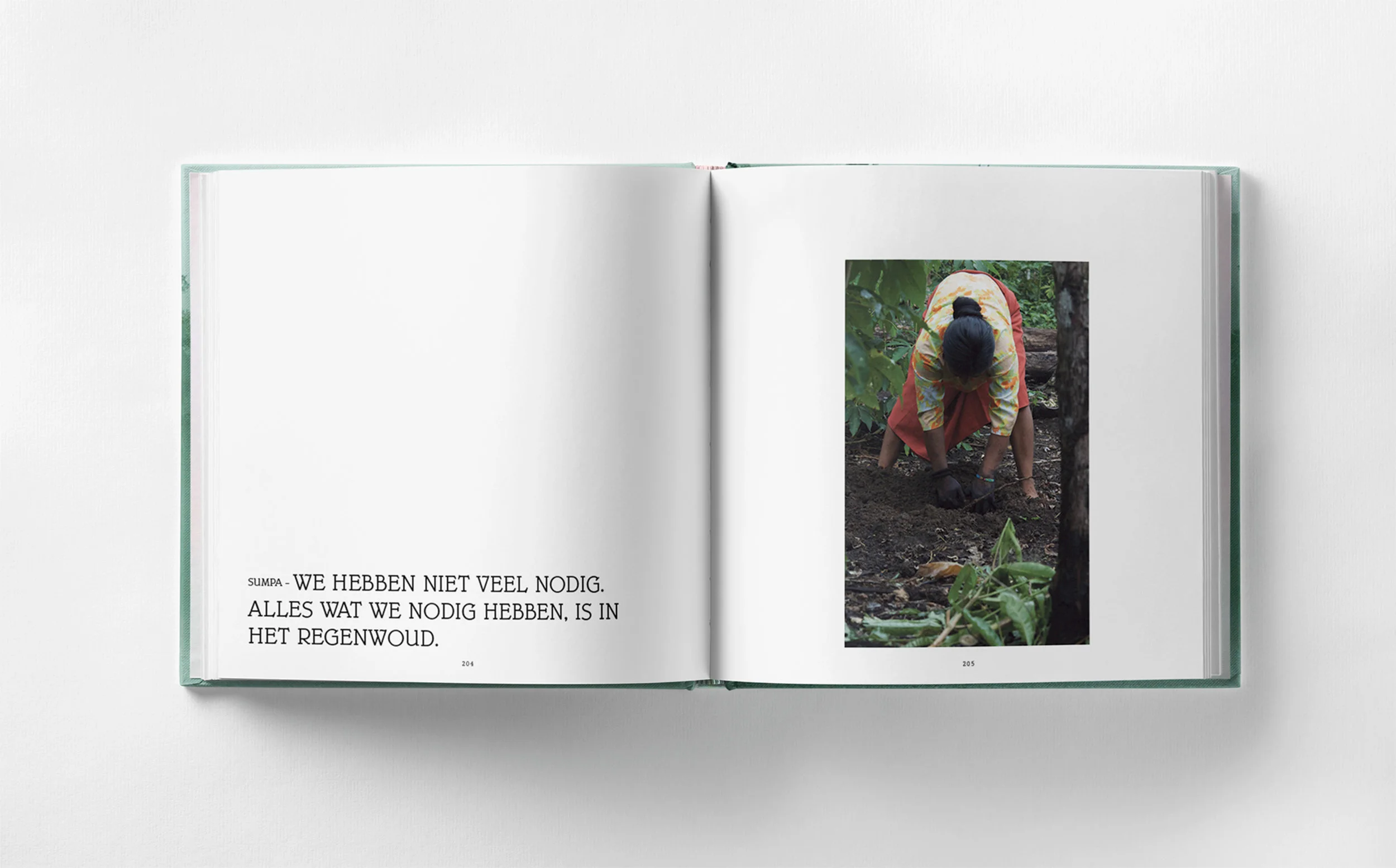 Down to Earth_dutch_digital mock-up-11.jpg