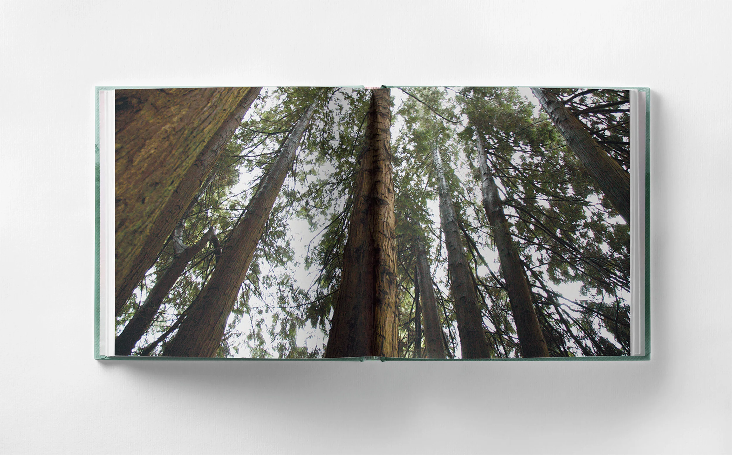 Down to Earth_dutch_digital mock-up-13.jpg