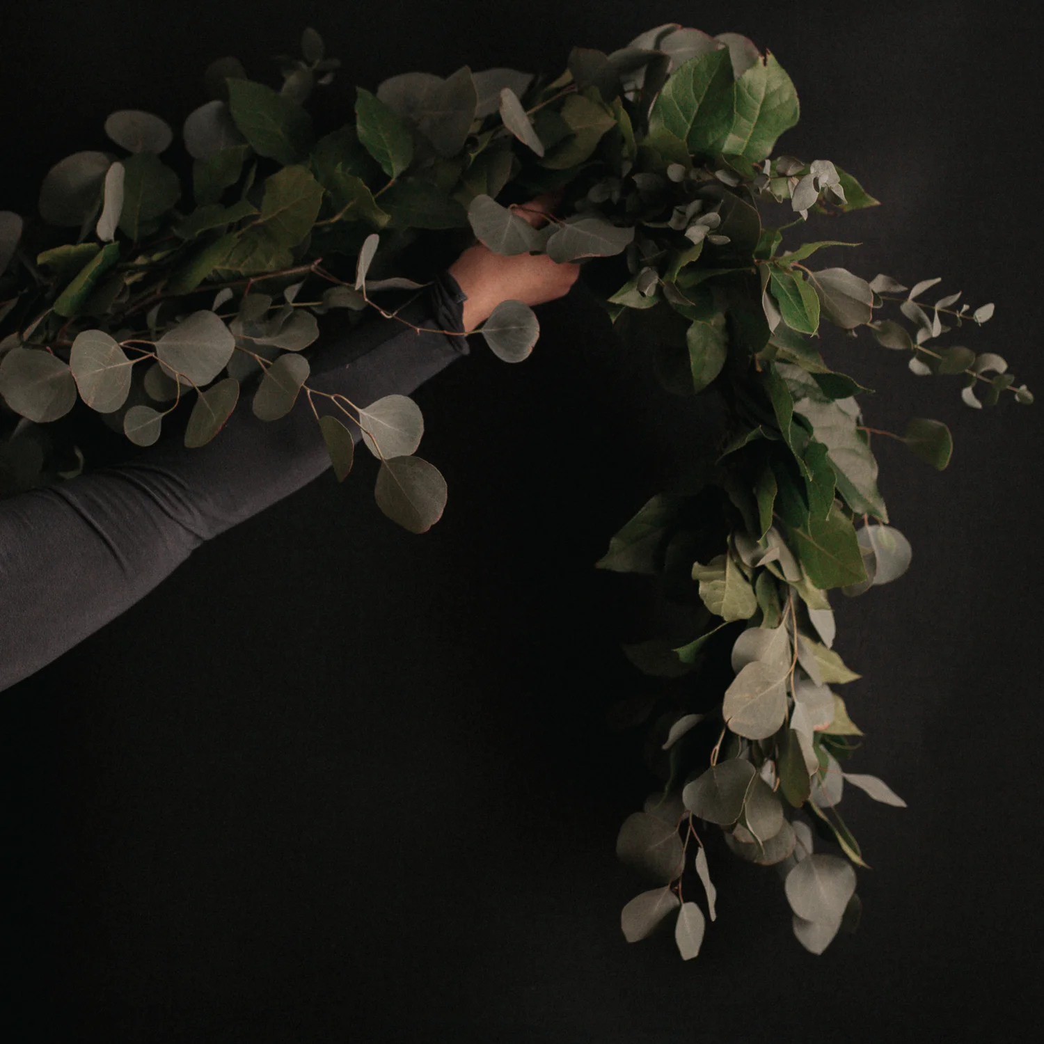 ecoflora(websized)-151.jpg