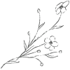 flower.png