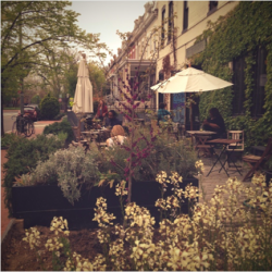 big_bear_patio.png