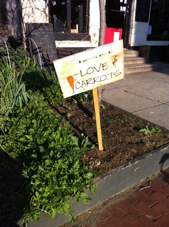 Love and Carrots.jpg