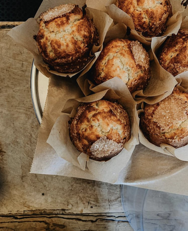 File Jan 12, 3 27 20 PM.jpeg