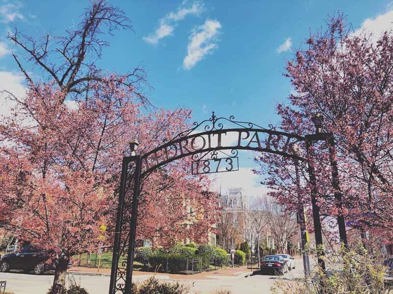 ashleythart_spring-scene-at-ledroit-park-entrance_yesmydccool.jpg