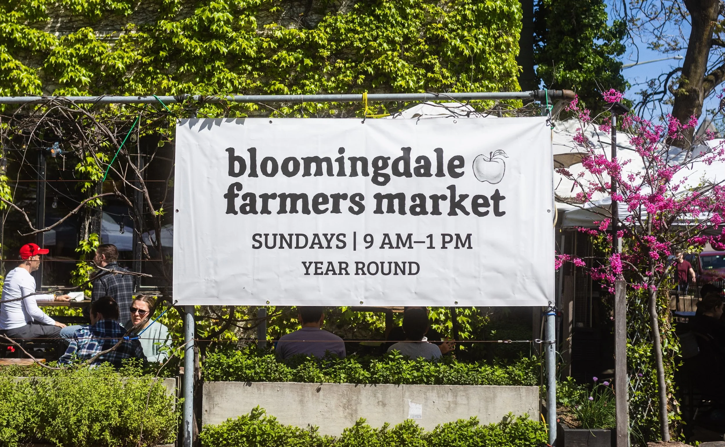 SUNDAY - BLOOMINGDALE FARMERS MARKET      