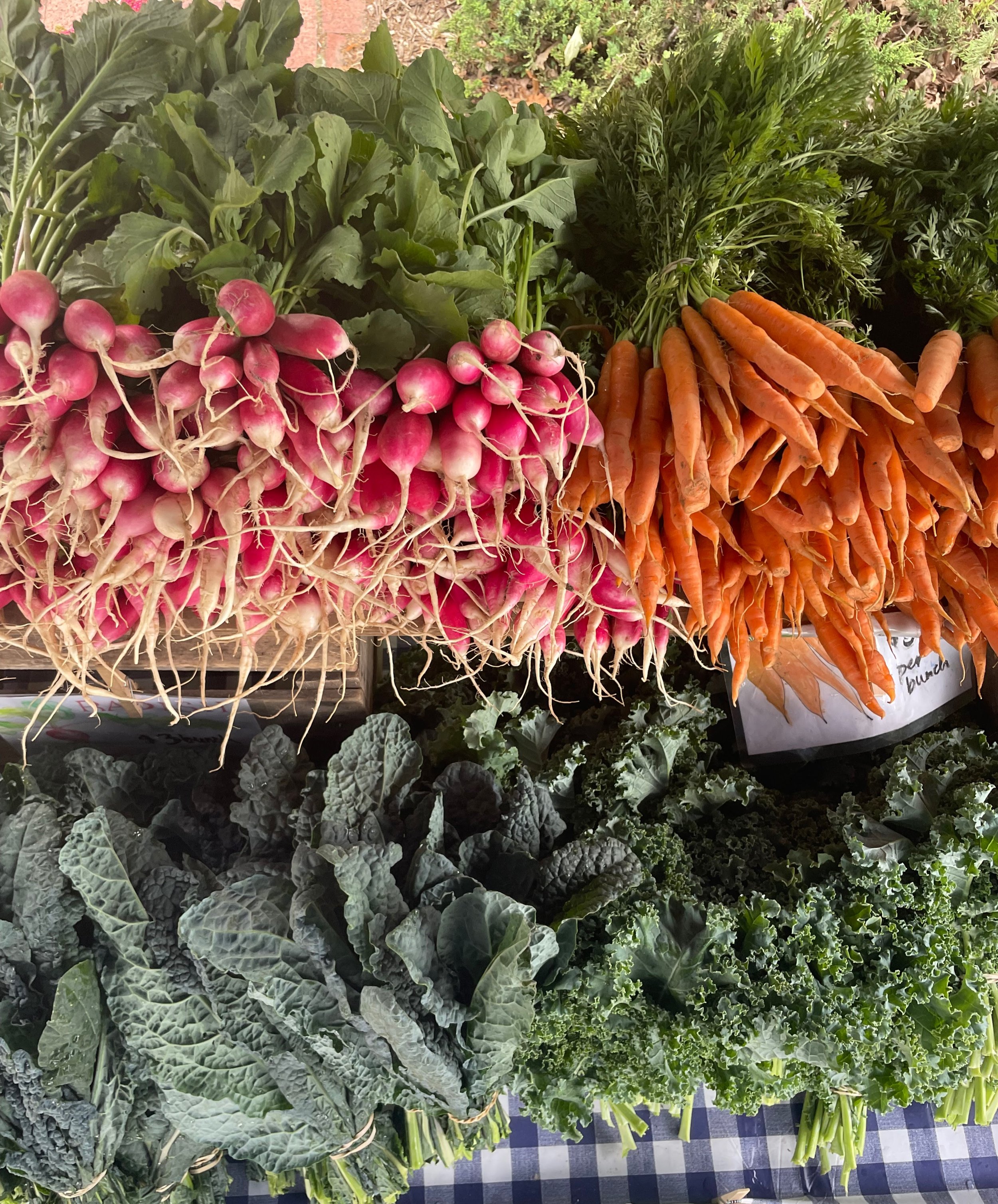 SUNDAY - BLOOMINGDALE FARMERS MARKET      