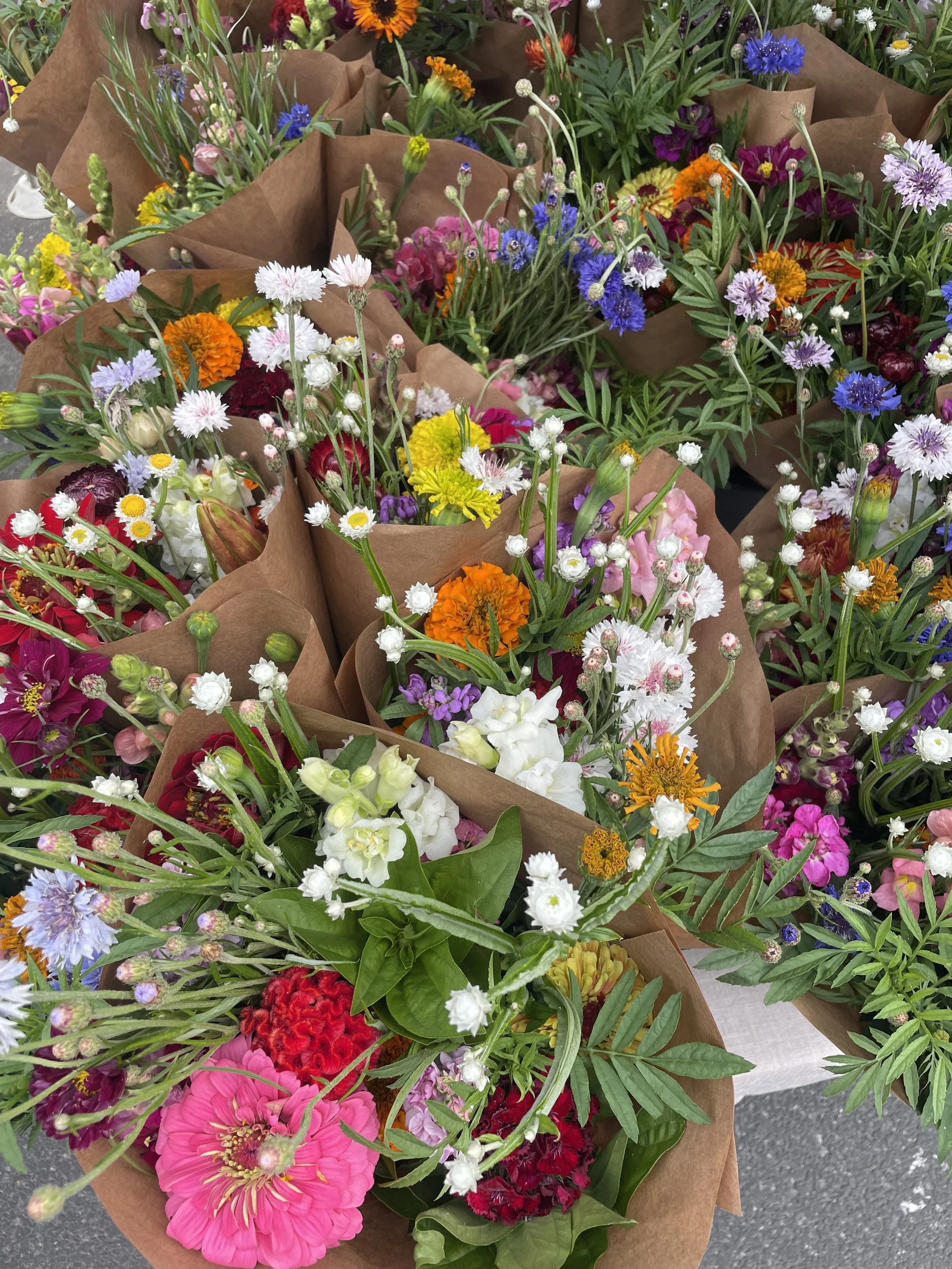 SUNDAY - BLOOMINGDALE FARMERS MARKET        