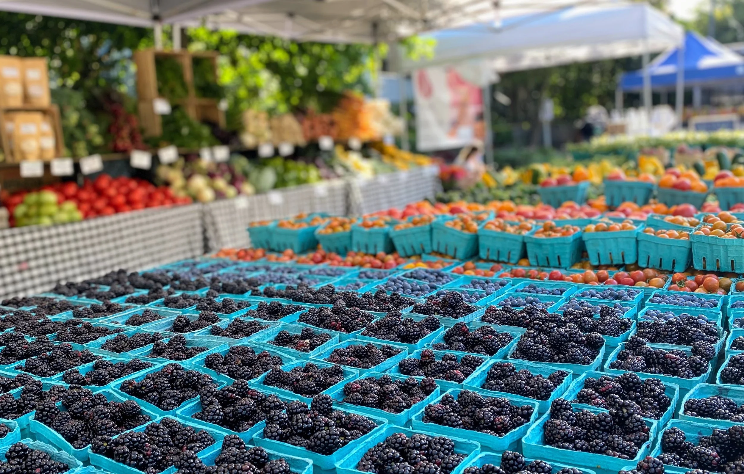 SUNDAY - BLOOMINGDALE FARMERS MARKET         